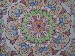 whatsapp image 2026-01-04 at 12.21.54